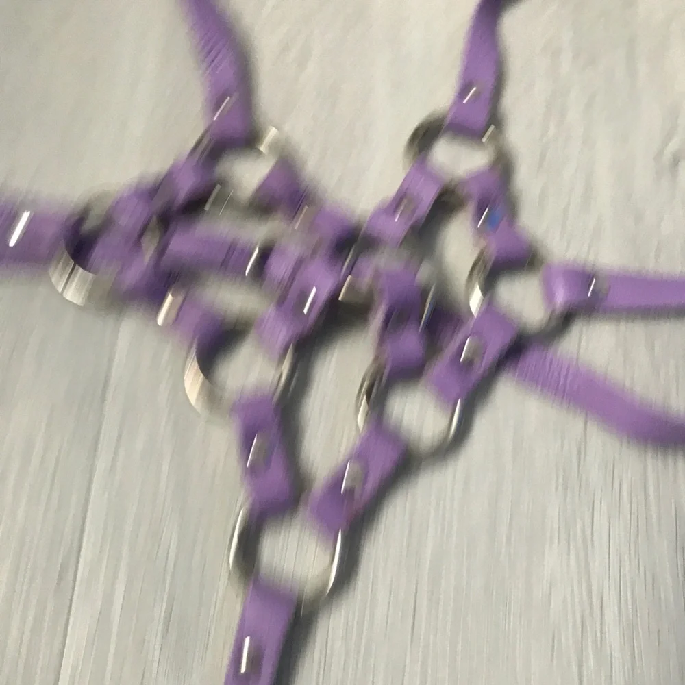 100% LEATHER PURPLE HARNESS LEATHER LINK BUCKLE WOMENS OS
